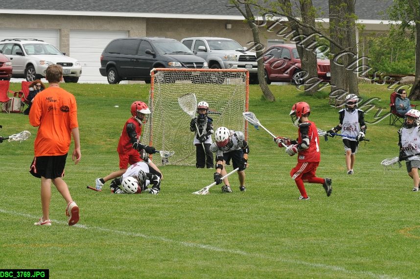 Albany Lacrosse Jamboree