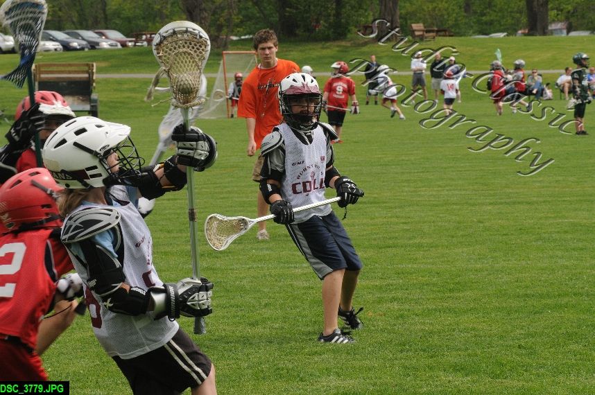 Albany Lacrosse Jamboree