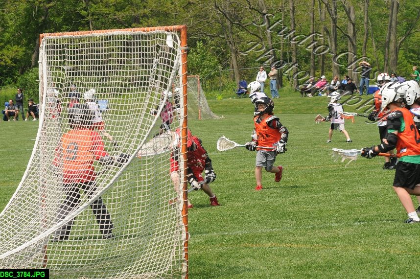 Albany Lacrosse Jamboree