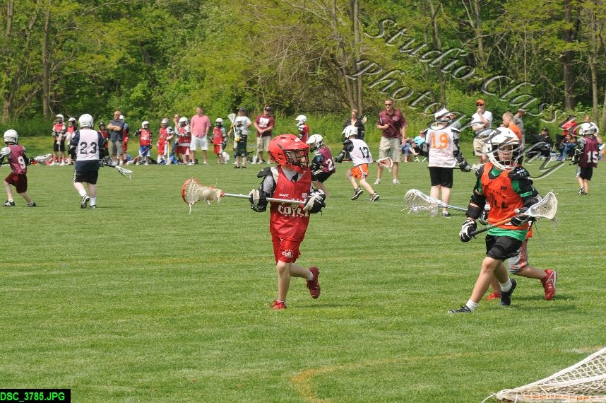 Albany Lacrosse Jamboree