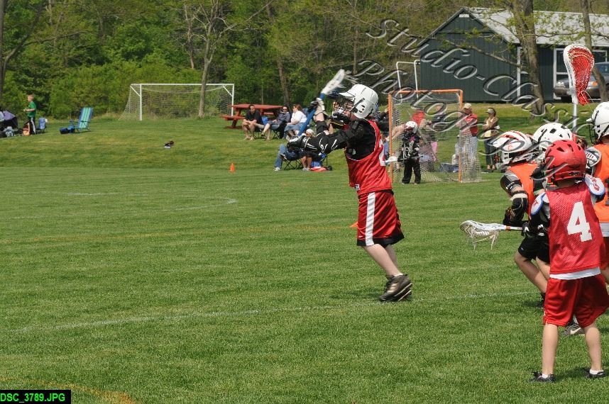 Albany Lacrosse Jamboree