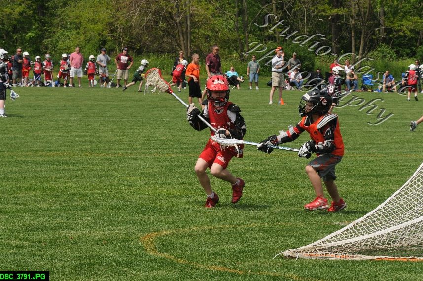 Albany Lacrosse Jamboree