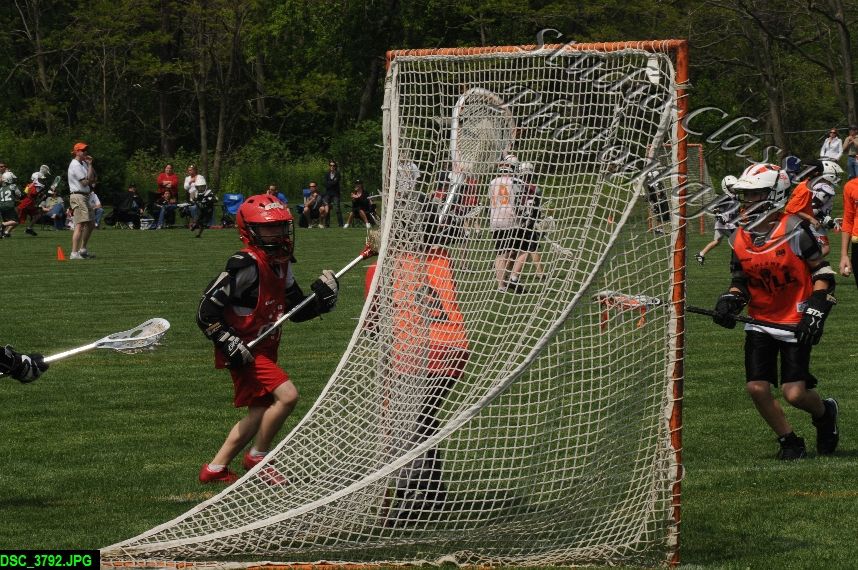 Albany Lacrosse Jamboree