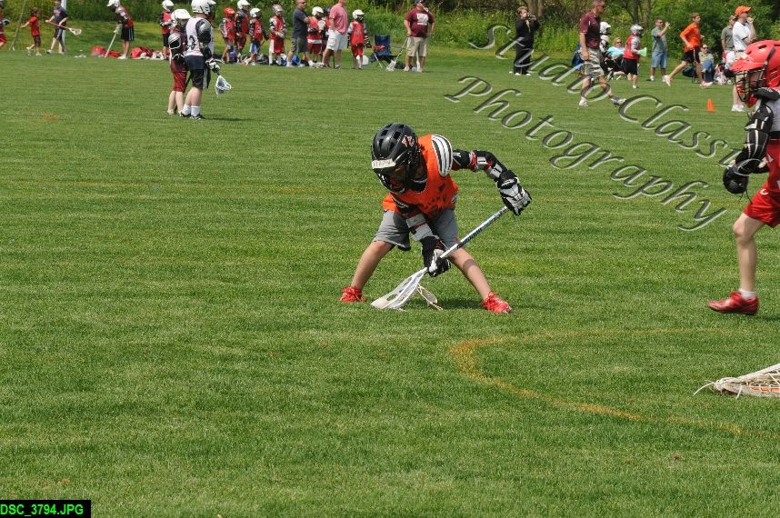 Albany Lacrosse Jamboree