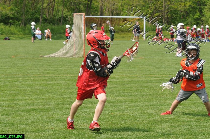 Albany Lacrosse Jamboree