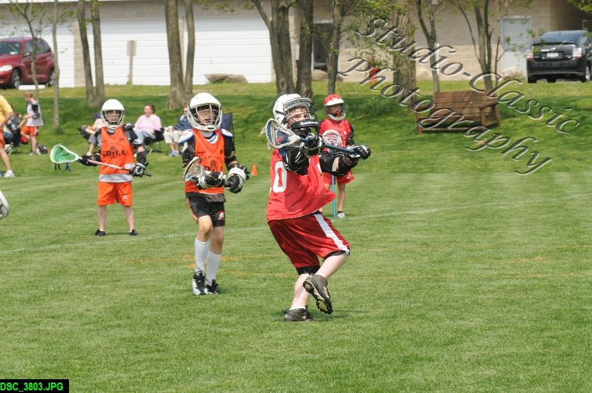 Albany Lacrosse Jamboree