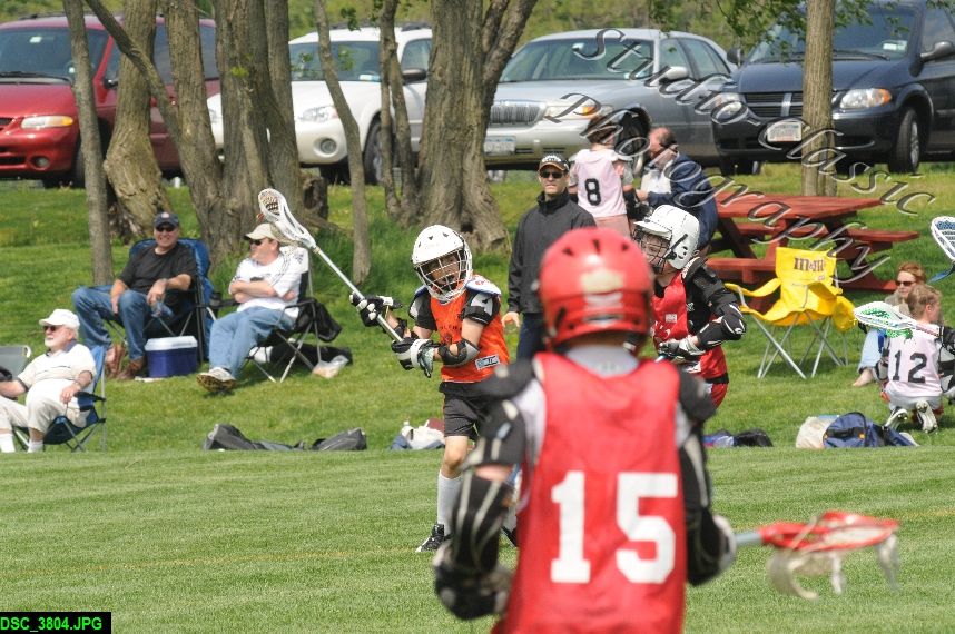 Albany Lacrosse Jamboree