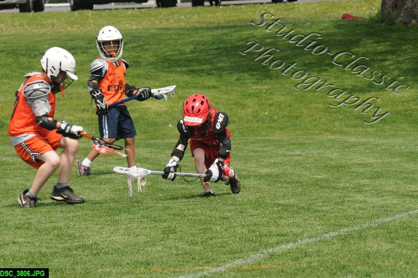 Albany Lacrosse Jamboree