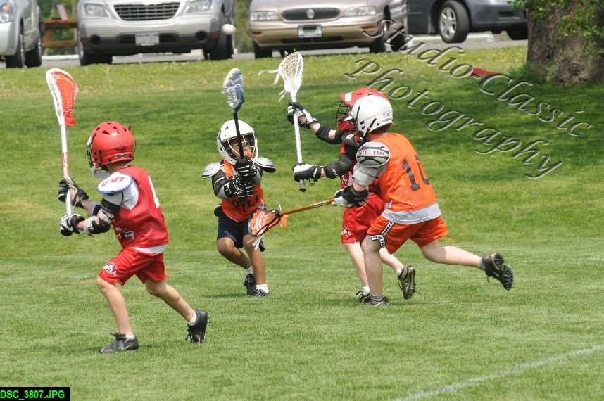 Albany Lacrosse Jamboree