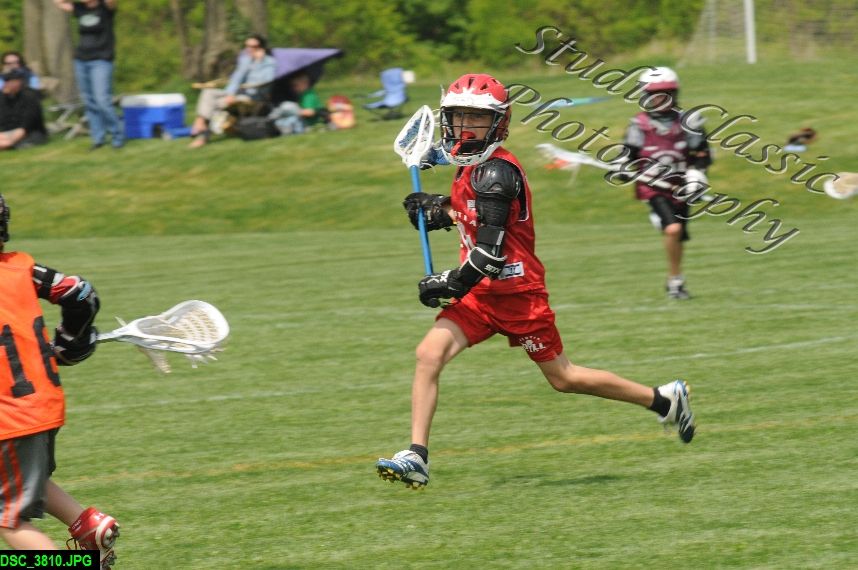Albany Lacrosse Jamboree