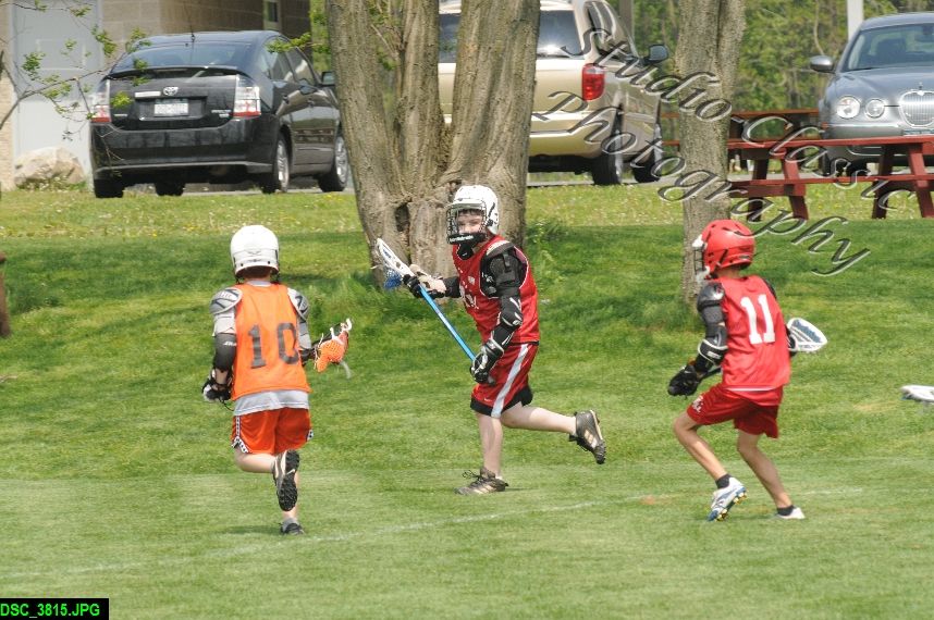 Albany Lacrosse Jamboree