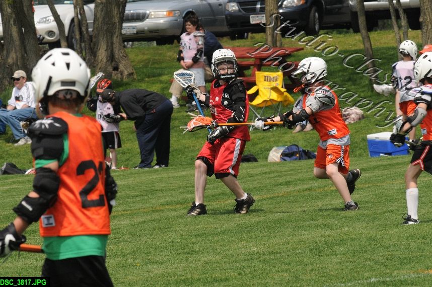 Albany Lacrosse Jamboree