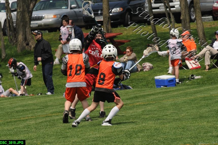 Albany Lacrosse Jamboree