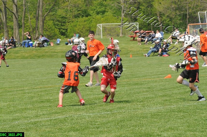 Albany Lacrosse Jamboree