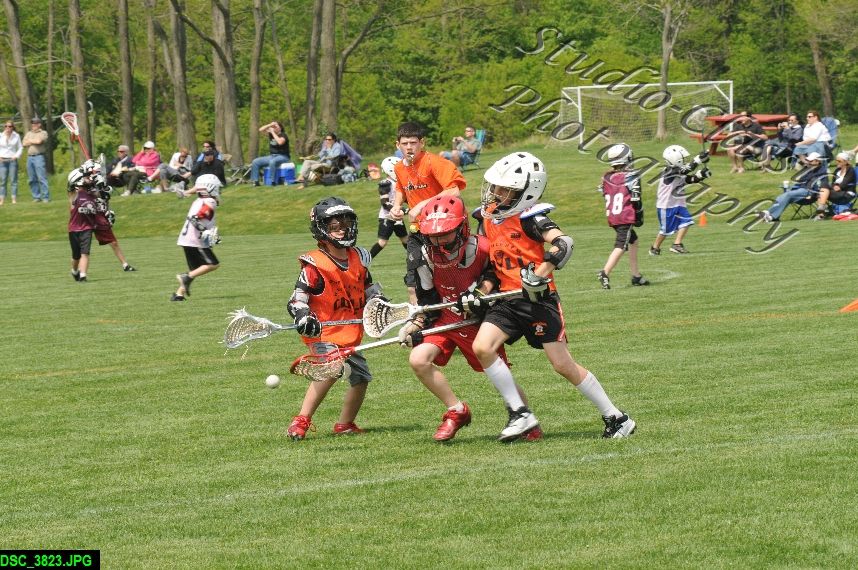 Albany Lacrosse Jamboree