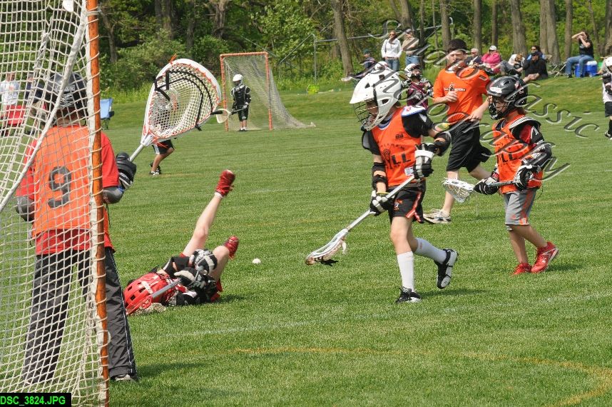Albany Lacrosse Jamboree