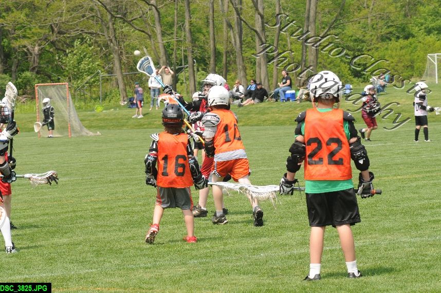 Albany Lacrosse Jamboree