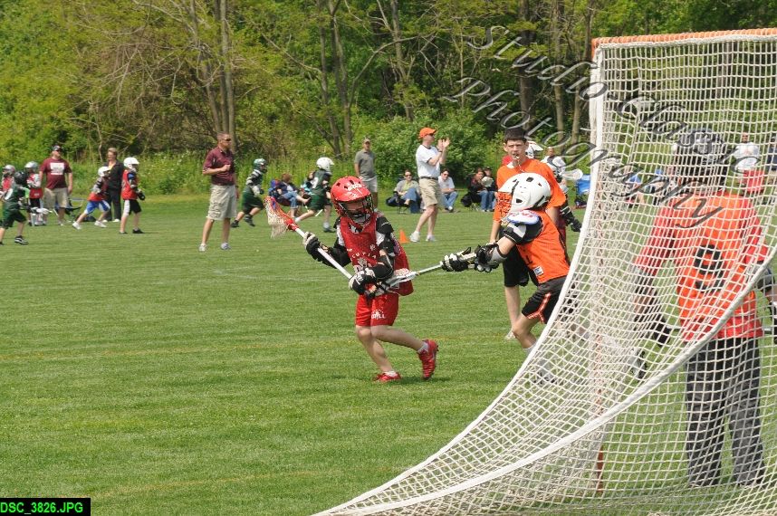 Albany Lacrosse Jamboree