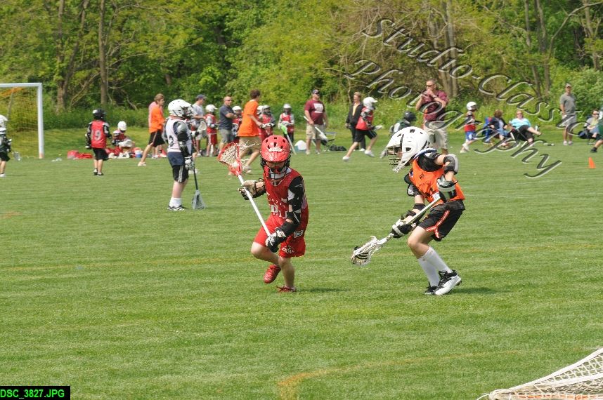 Albany Lacrosse Jamboree