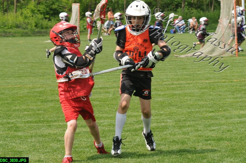 Albany Lacrosse Jamboree