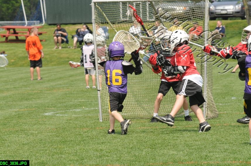Albany Lacrosse Jamboree