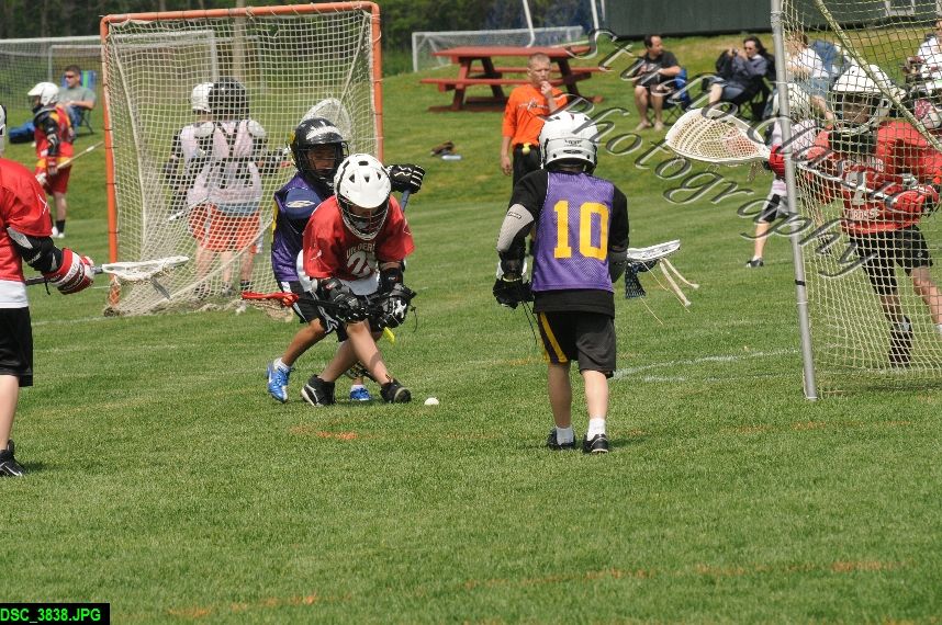 Albany Lacrosse Jamboree