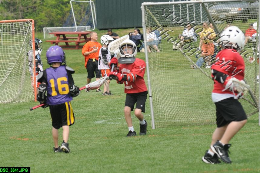 Albany Lacrosse Jamboree