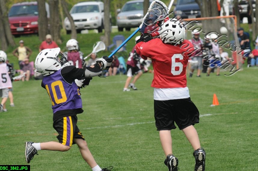 Albany Lacrosse Jamboree