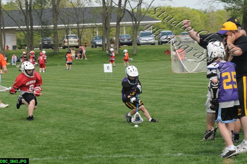 Albany Lacrosse Jamboree