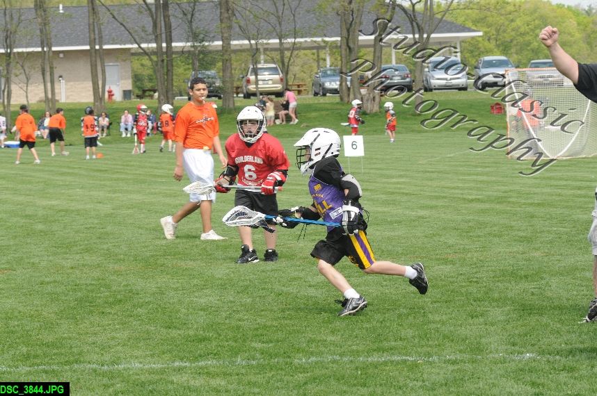 Albany Lacrosse Jamboree