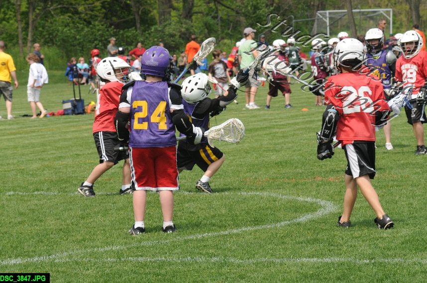 Albany Lacrosse Jamboree