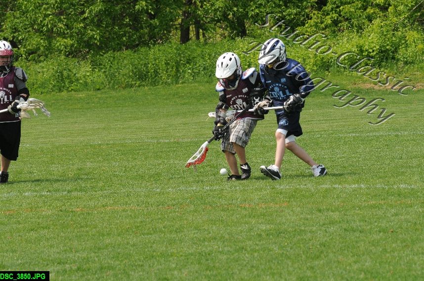 Albany Lacrosse Jamboree