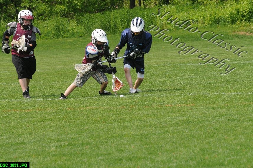 Albany Lacrosse Jamboree