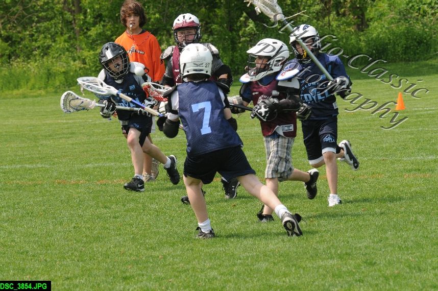 Albany Lacrosse Jamboree