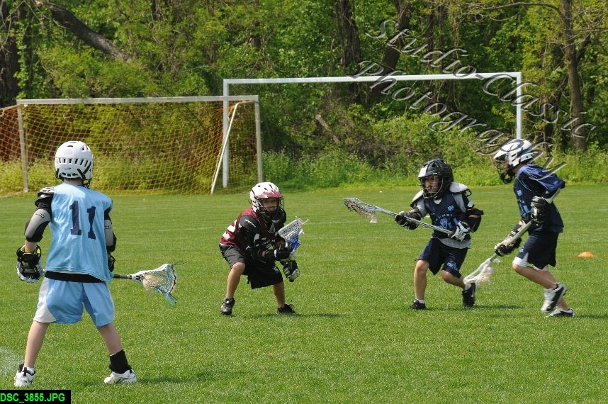 Albany Lacrosse Jamboree