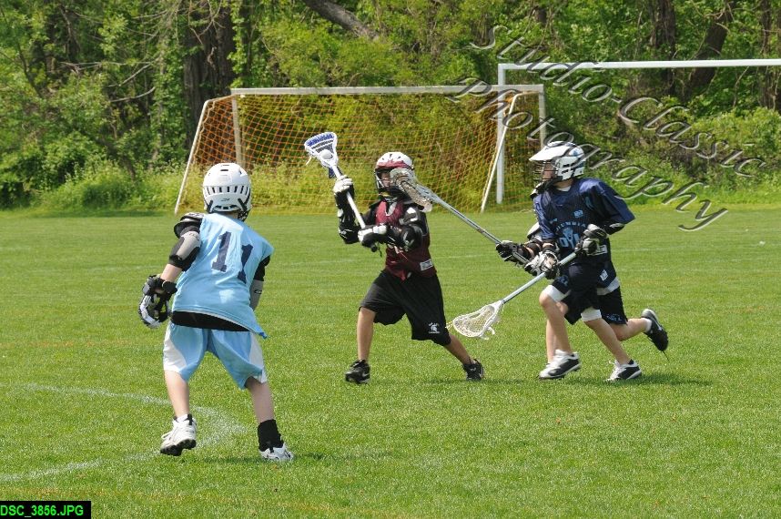 Albany Lacrosse Jamboree