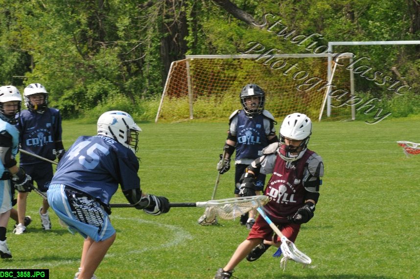 Albany Lacrosse Jamboree