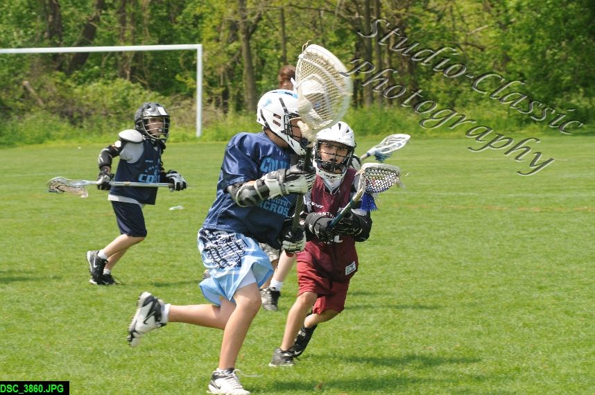Albany Lacrosse Jamboree