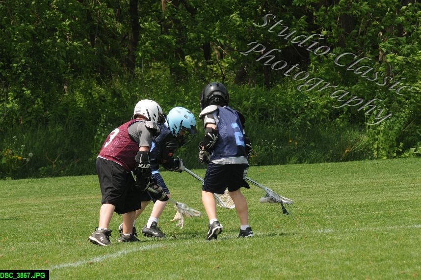 Albany Lacrosse Jamboree