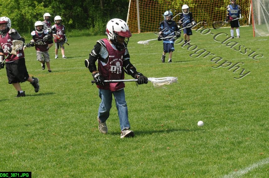 Albany Lacrosse Jamboree