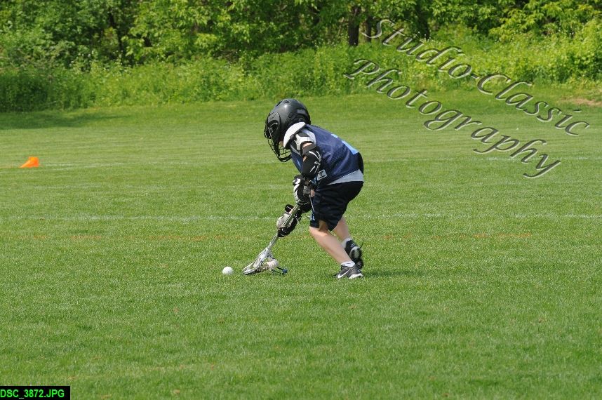 Albany Lacrosse Jamboree