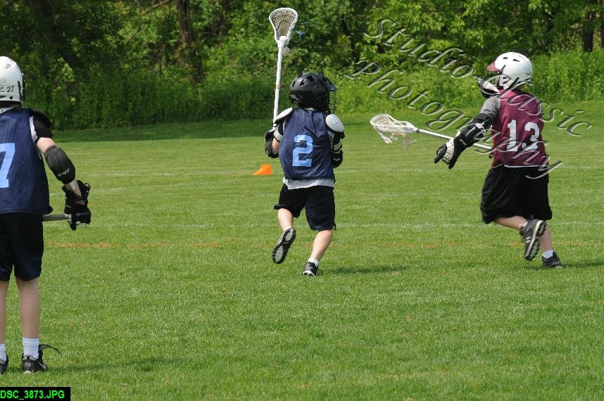 Albany Lacrosse Jamboree
