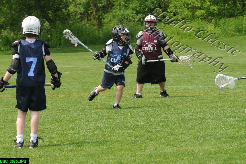 Albany Lacrosse Jamboree