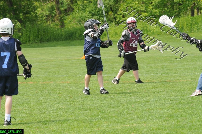 Albany Lacrosse Jamboree
