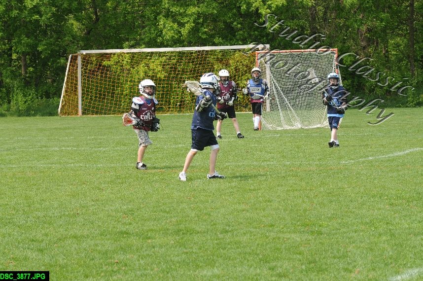 Albany Lacrosse Jamboree