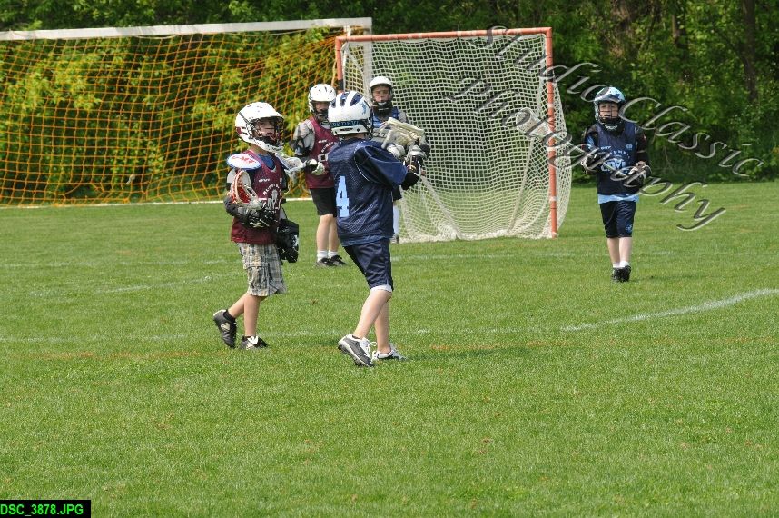 Albany Lacrosse Jamboree