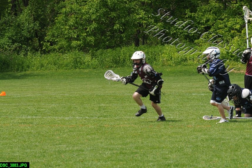 Albany Lacrosse Jamboree
