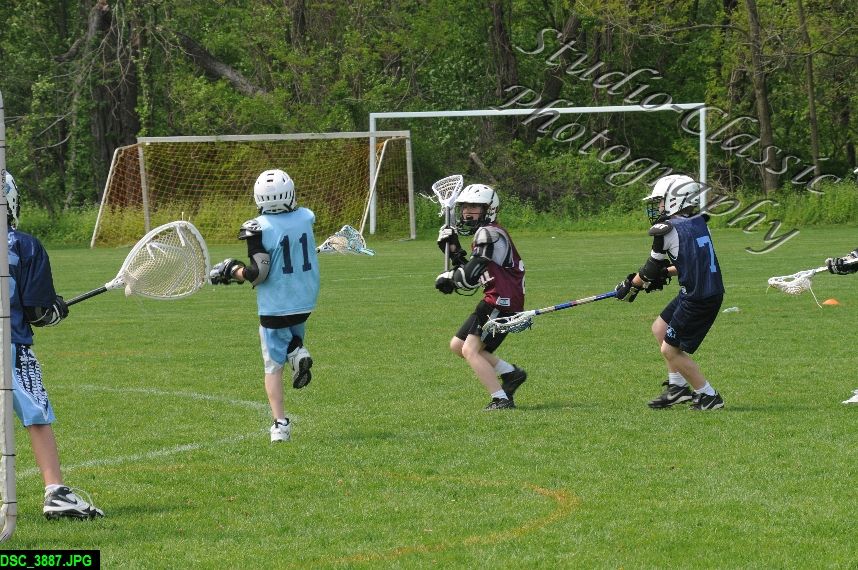 Albany Lacrosse Jamboree