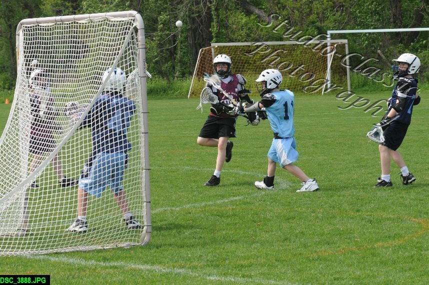 Albany Lacrosse Jamboree