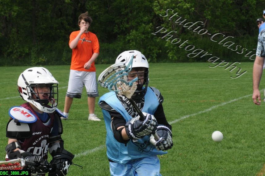Albany Lacrosse Jamboree